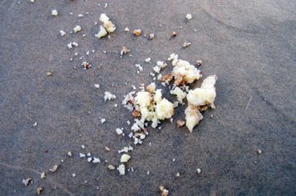 crumbs