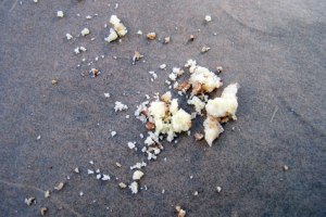 crumbs