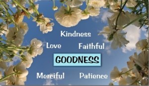 goodness