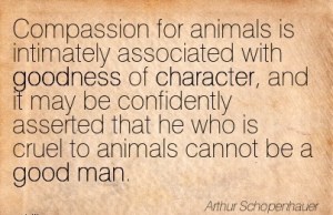 Quotation-Arthur-Schopenhauer-